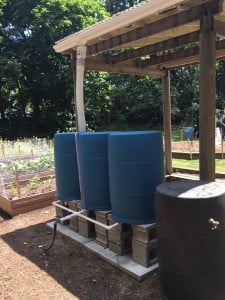 The rain barrels for the drip irrigation system at St. Peter