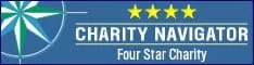 4Star 234x60